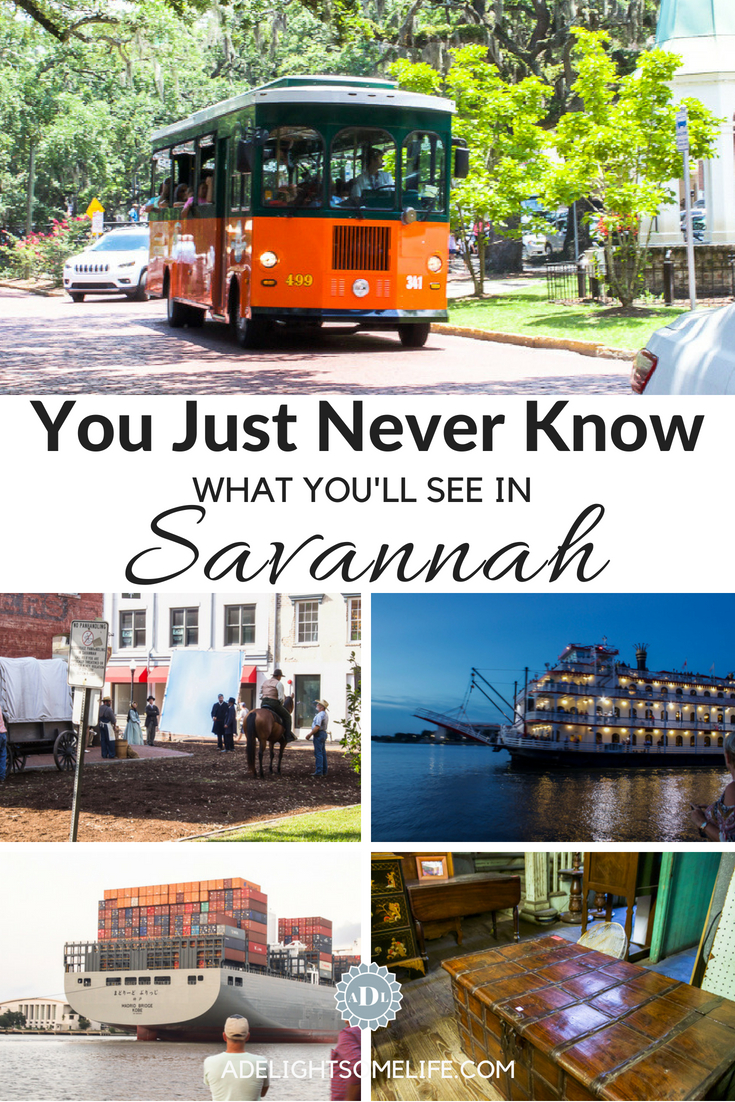 see in Savannah